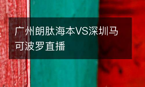 广州朗肽海本VS深圳马可波罗直播